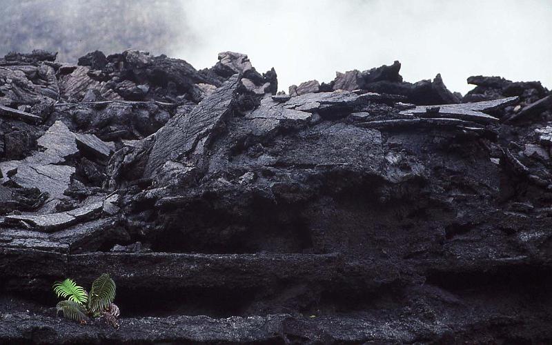 WT 0074 001-30 Hawaii.jpg